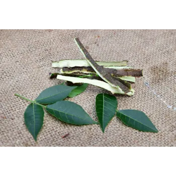 Organic Dry Curry Leaves